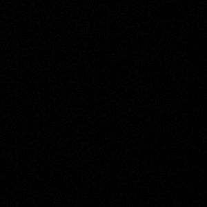 Meet your Posher, Trevor